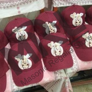 10 Pcs OES Baseball Cap